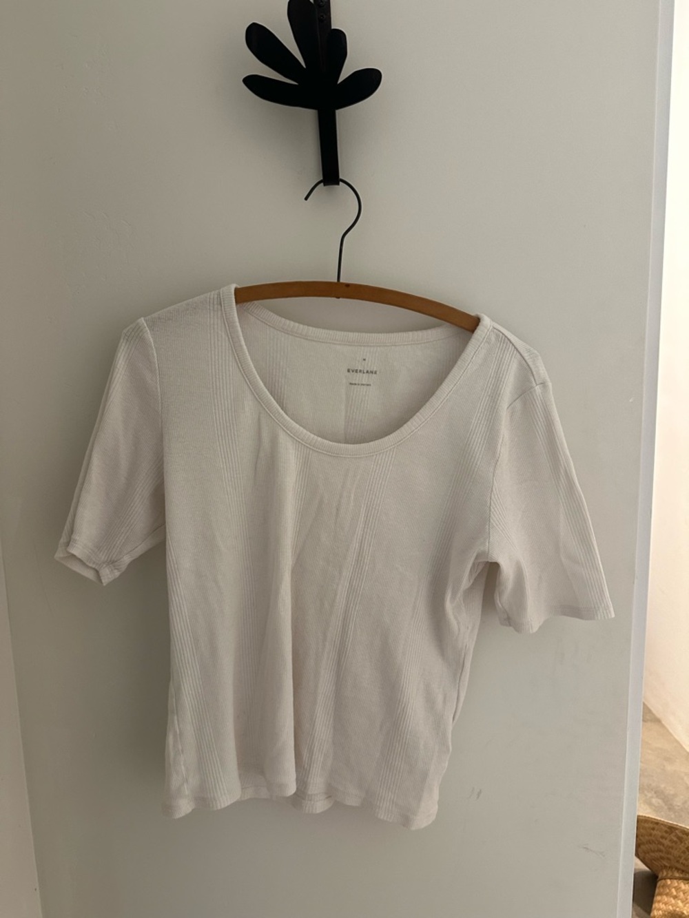Everlane Pima Scoop Ribbed Baby Tee